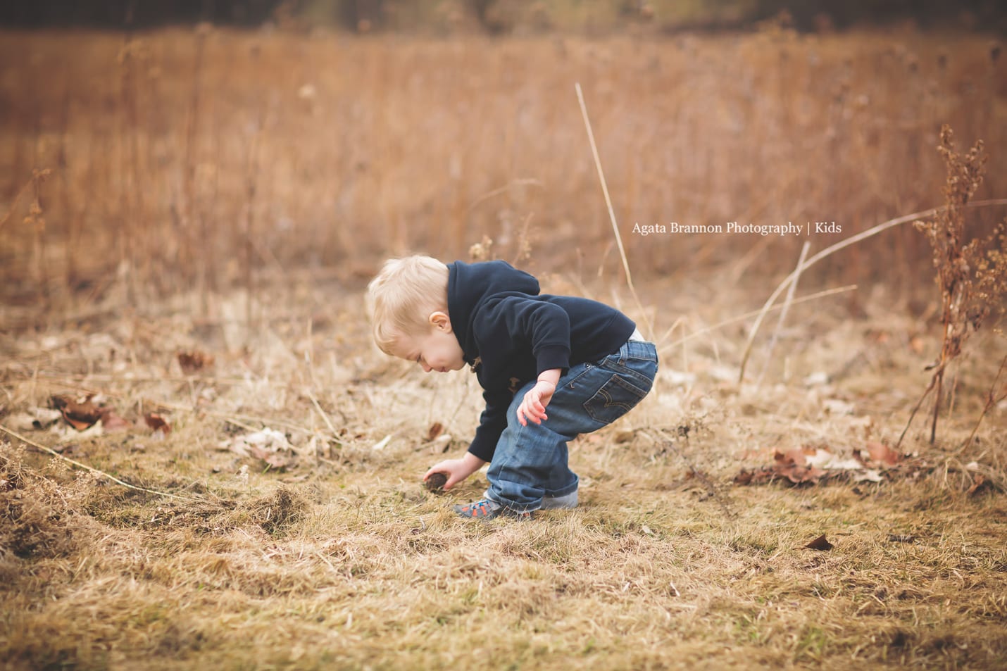 Palatine Kids Photographer | Agata Brannon Photography