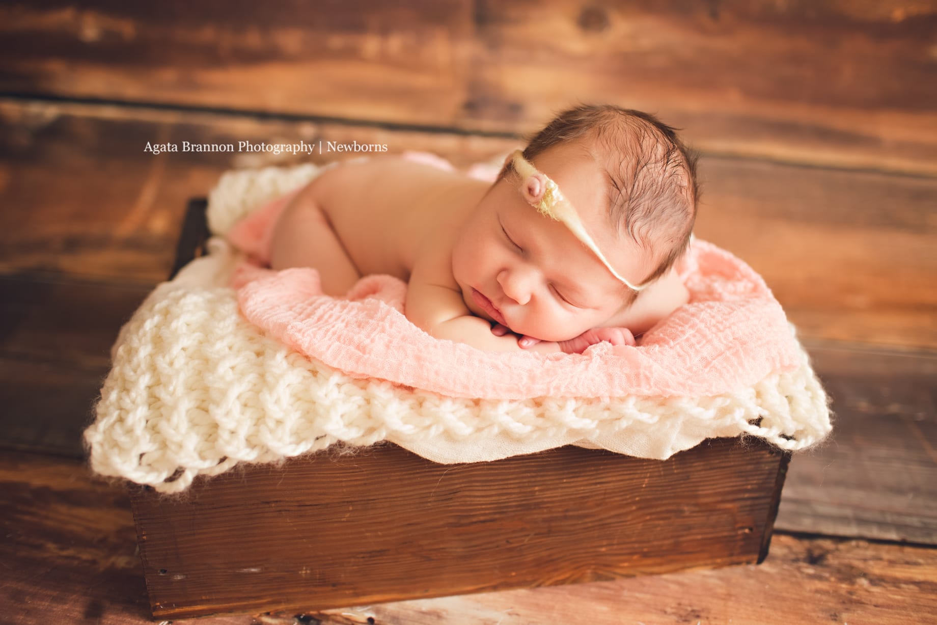 Palatine Newborn Photographer | Agata Brannon Photography