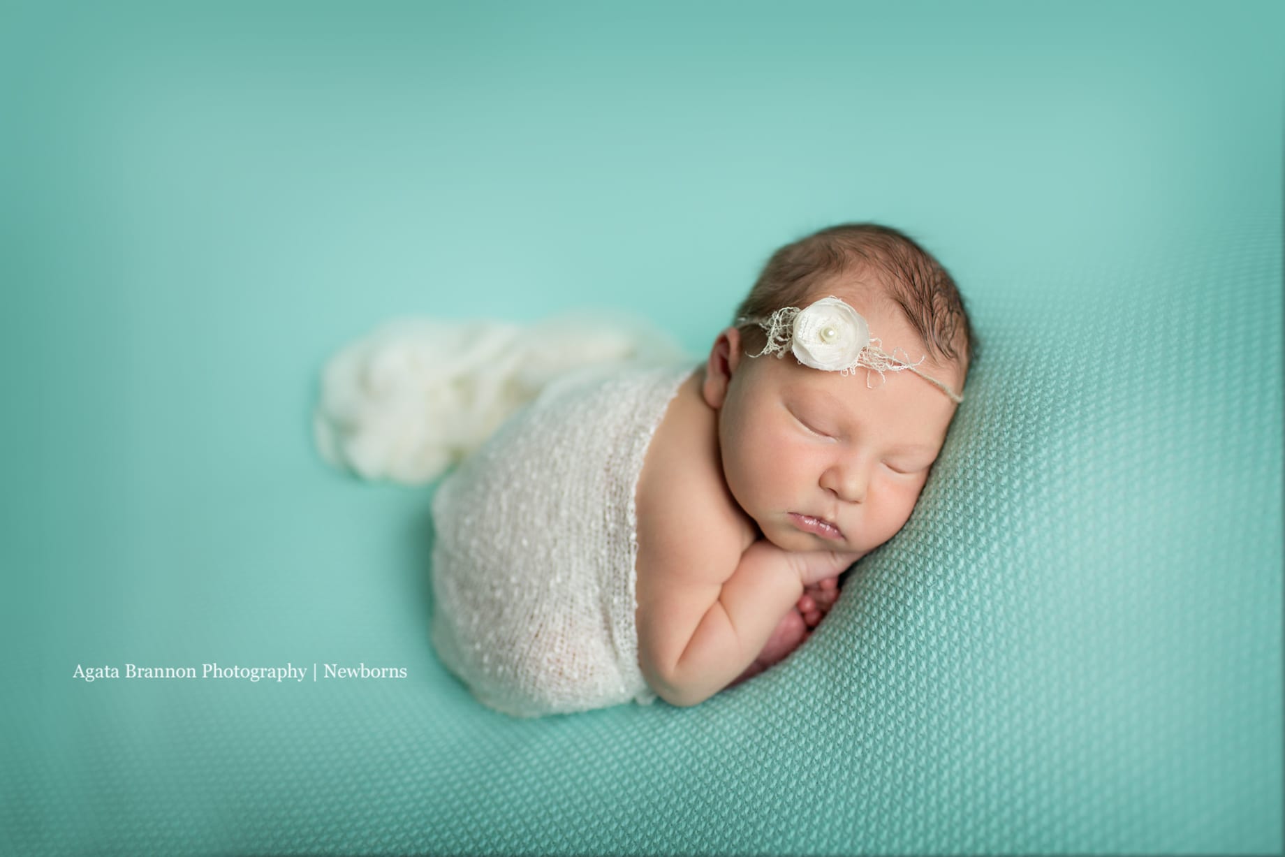 Palatine Newborn Photographer | Agata Brannon Photography