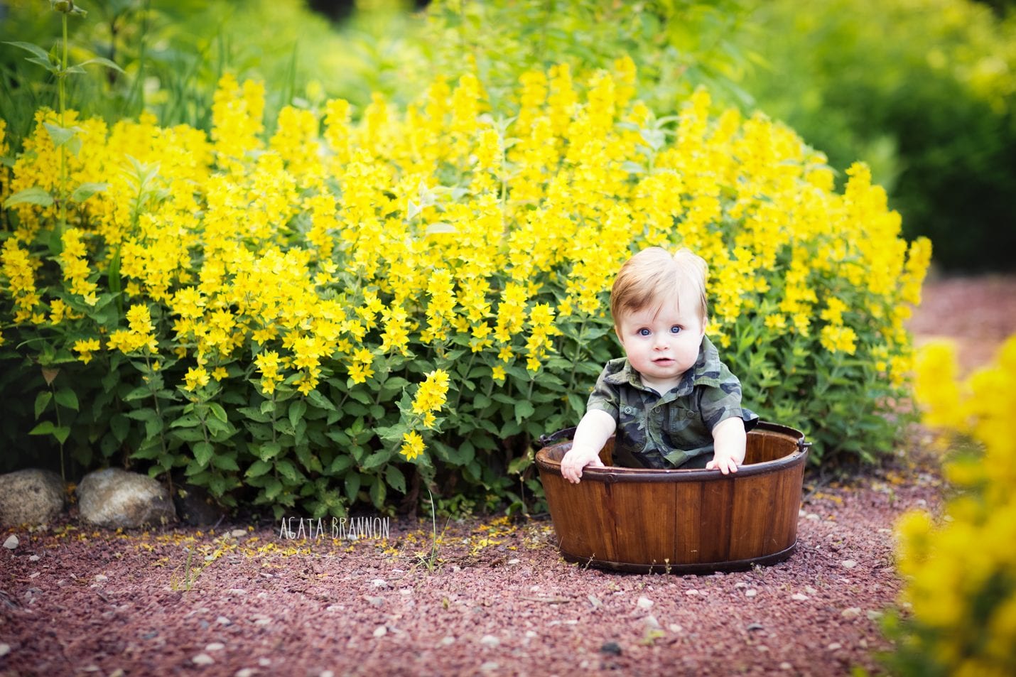 Palatine Baby Photographer | Agata Brannon Photography