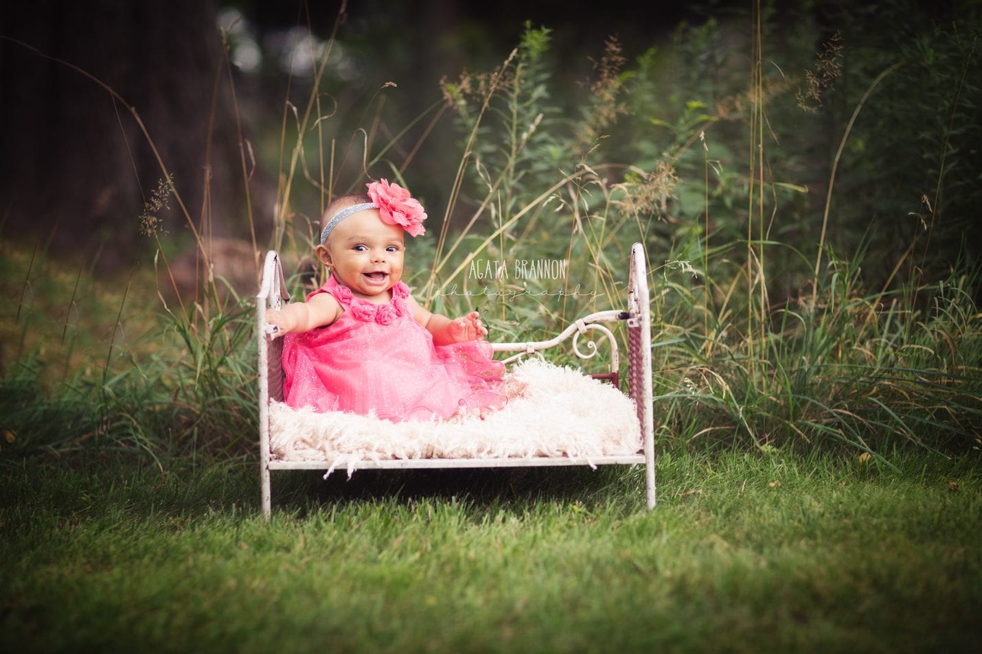 Palatine Baby Photographer | Agata Brannon Photography