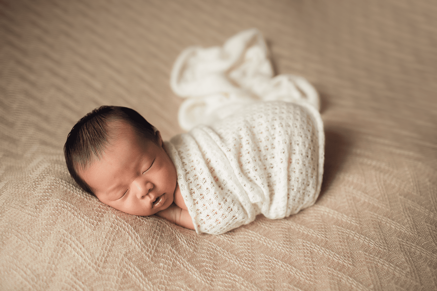 Palatine Newborn Photographer | Agata Brannon Photography