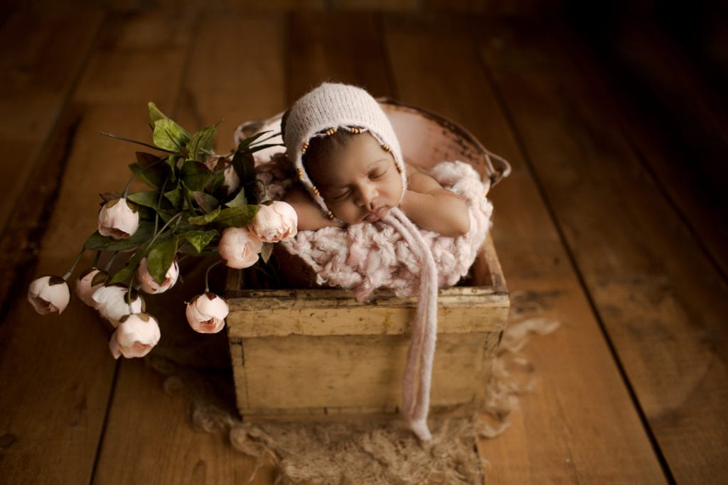arlington heights newborn photographer