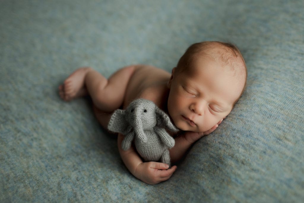 sweet baby boy with little elephant