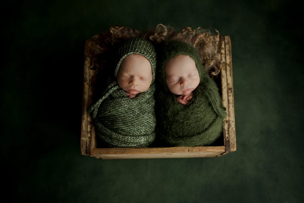 Chicagoland twin newborn photo session