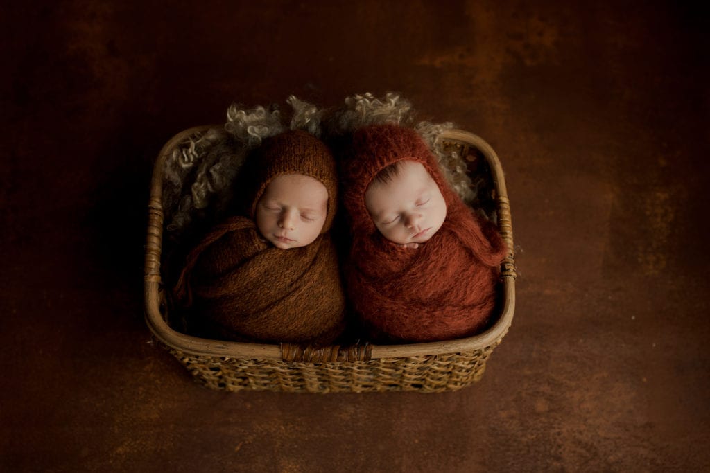 Chicagoland newborn twin photo session