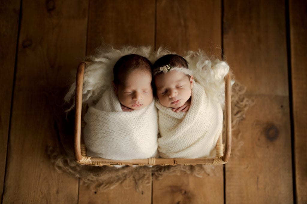 newborn twins photo shoot Lake County IL