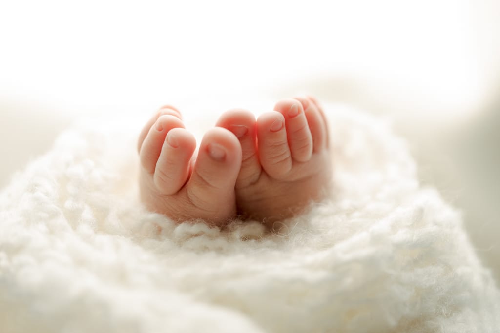 closeup of baby toes, Chicago newborn photography