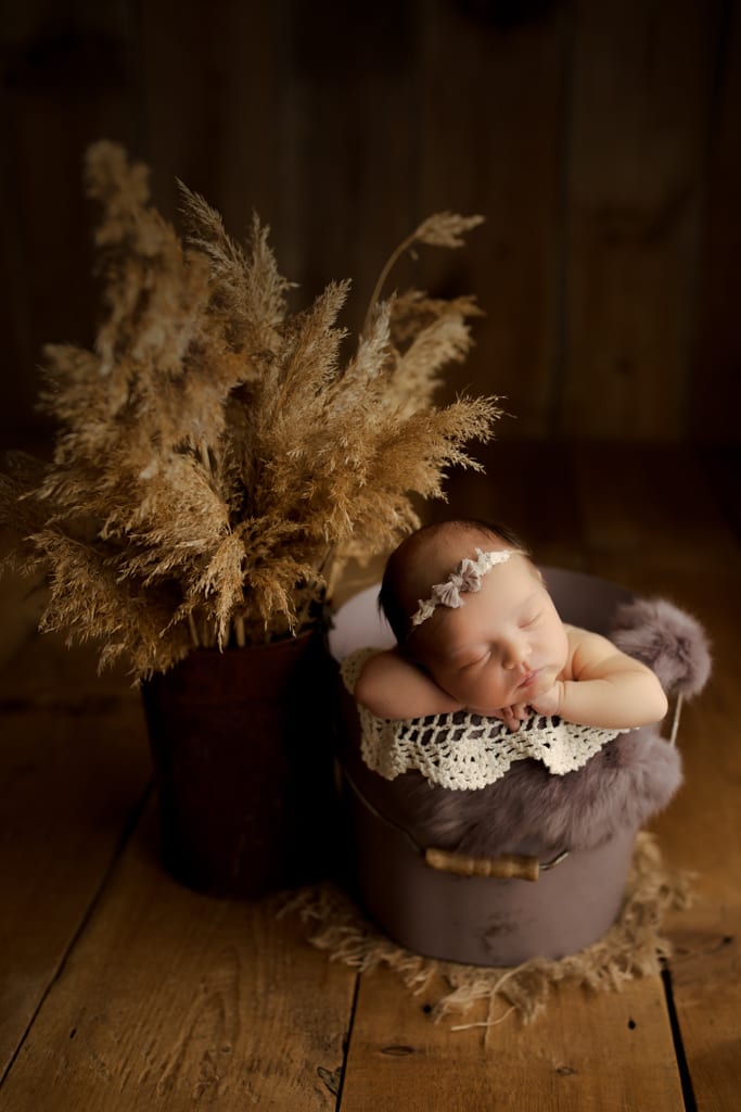 Palatine newborn pictures, baby girl in bucket with feathery prop