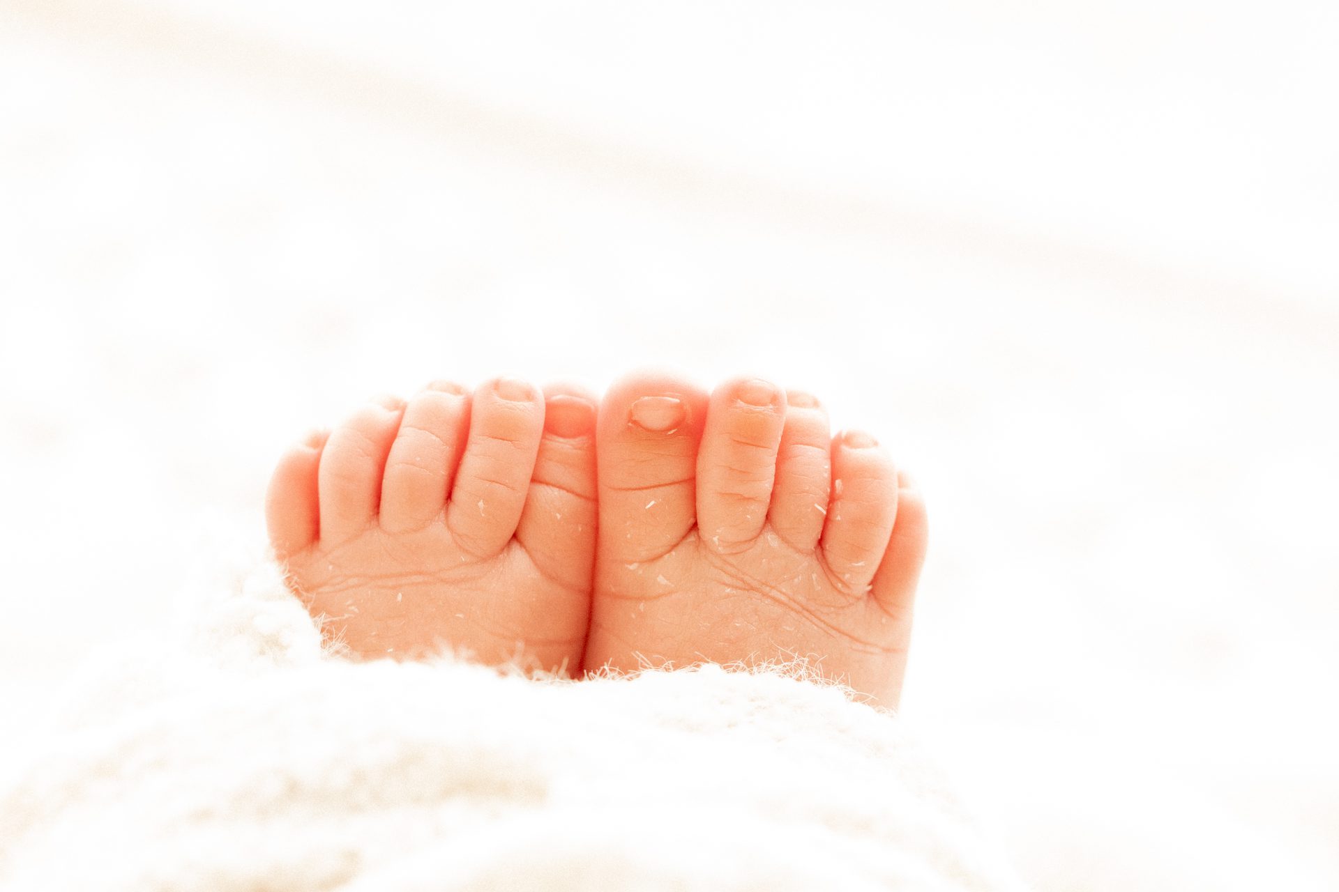 Newborn Photography Chicago