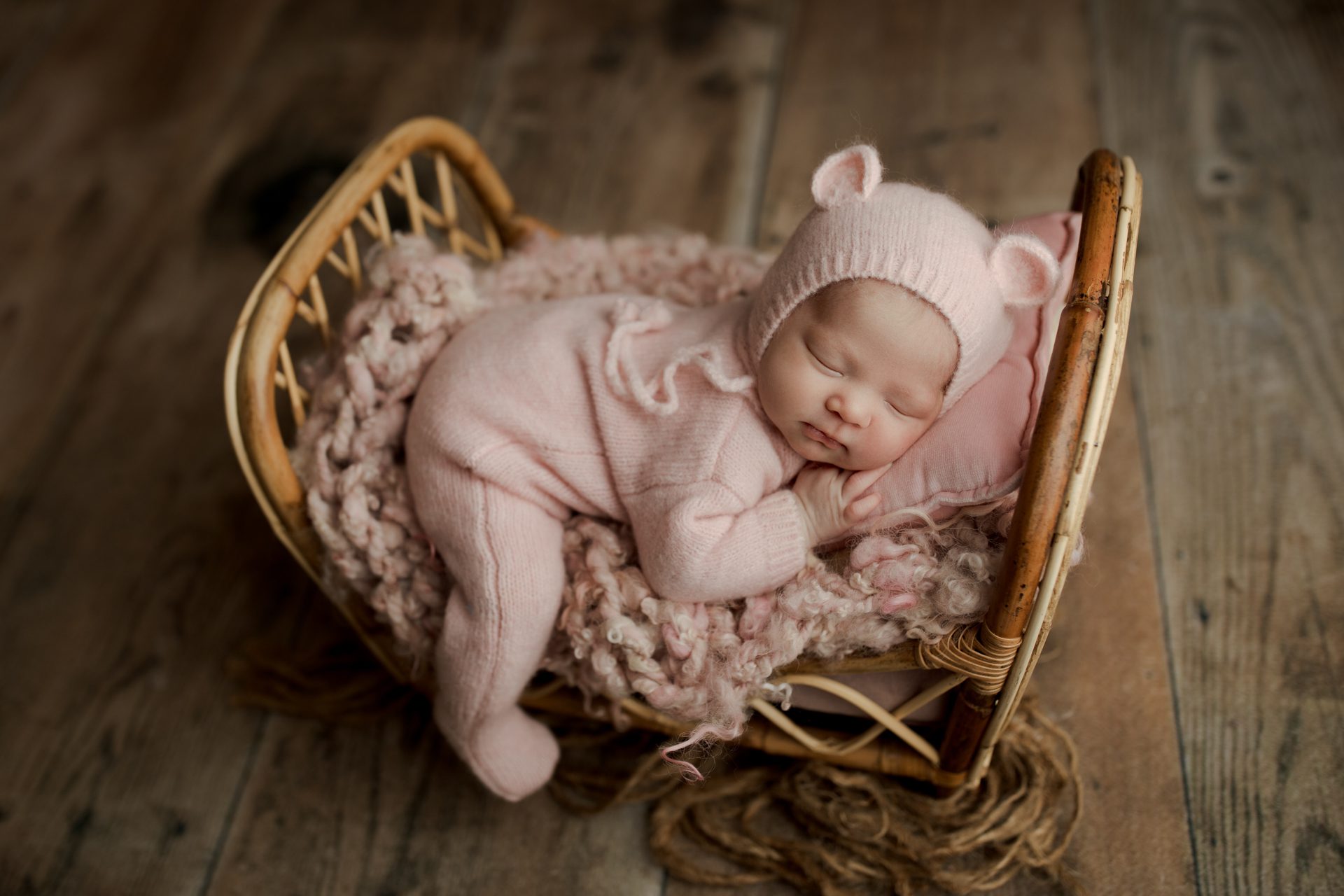 Palatine newborn photography