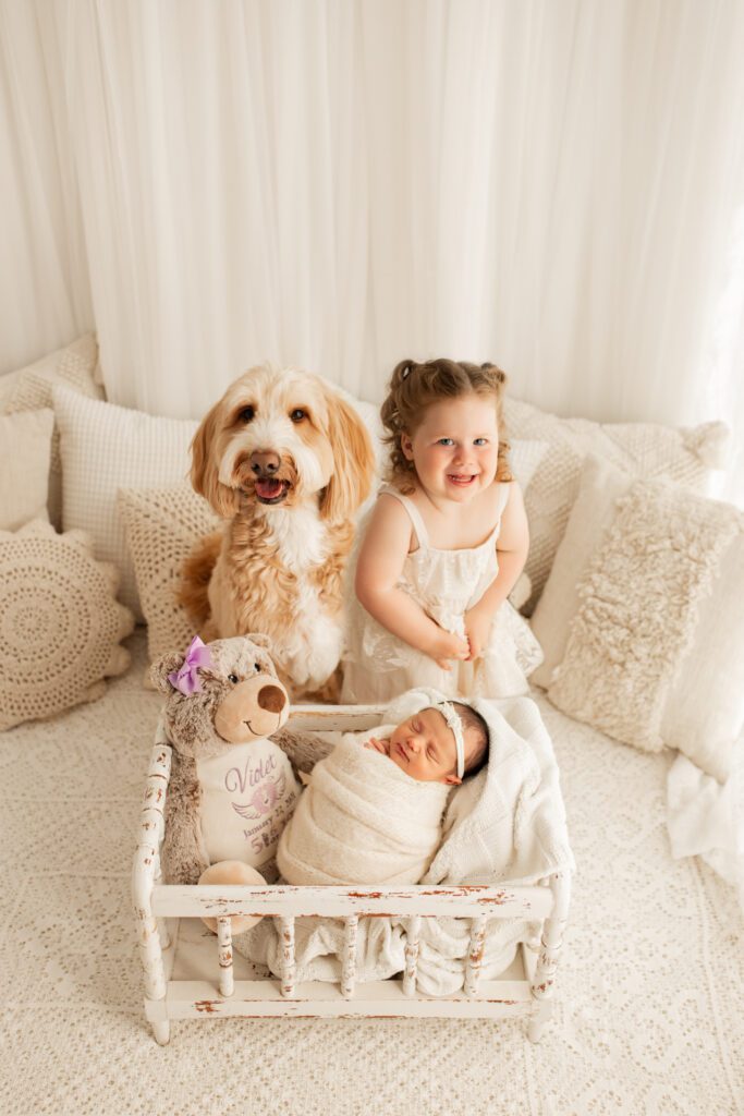 Dog and toddler pose by crib next to newborn girl in Chicago portrait studio